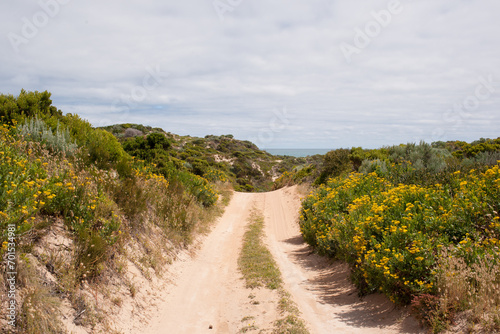 Stoney Rise 4x4 Track