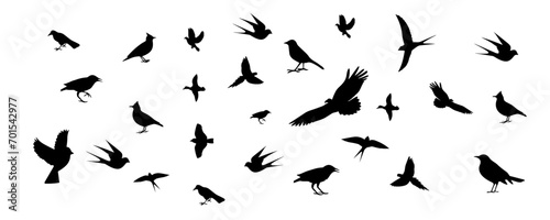 Collection of silhouettes of various types of birds. Isolated on White background © Jumaidi Rahman