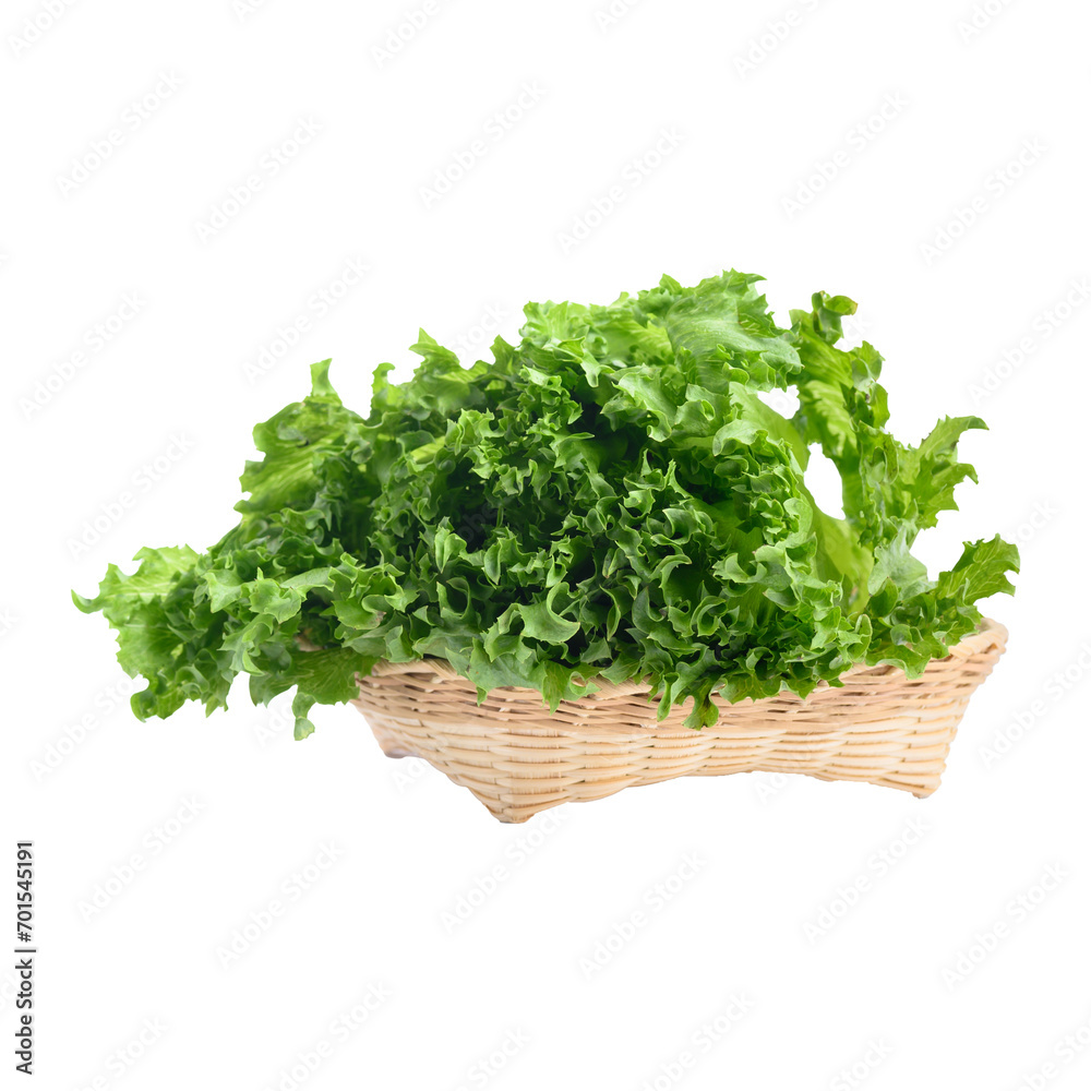 Green frillice iceberg lettuce in basket Green frillice iceberg lettuce in basket