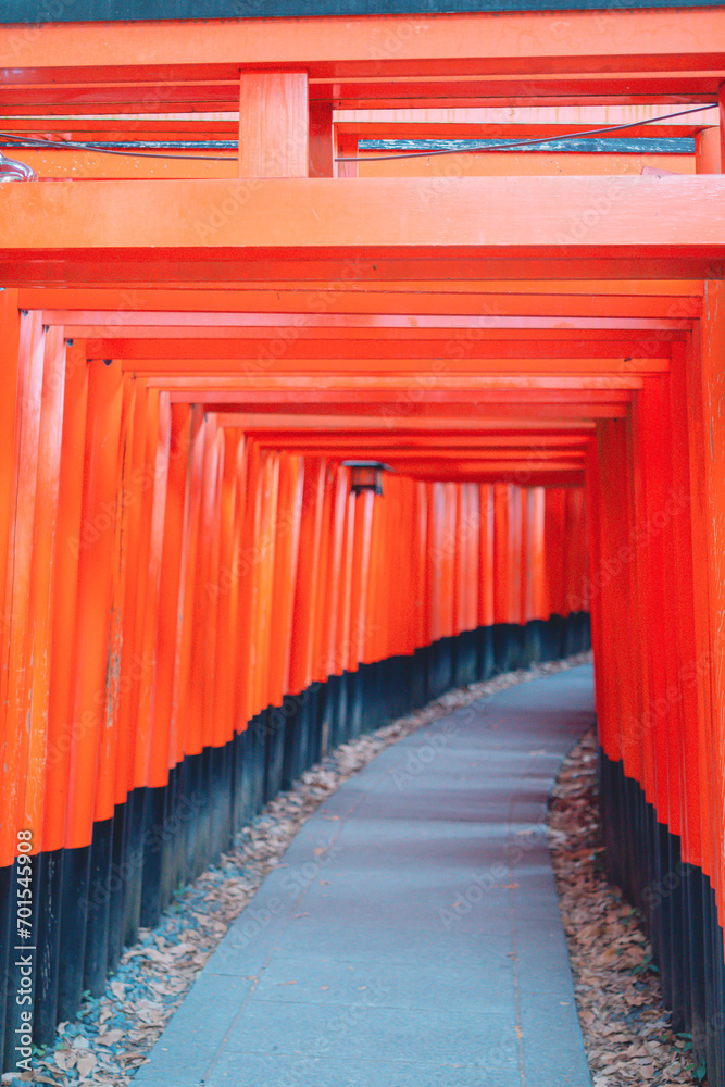 Fototapeta premium 京都の伏見稲荷大社の初詣