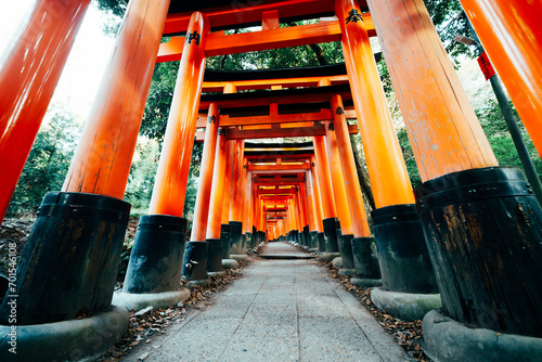 京都の伏見稲荷大社の初詣