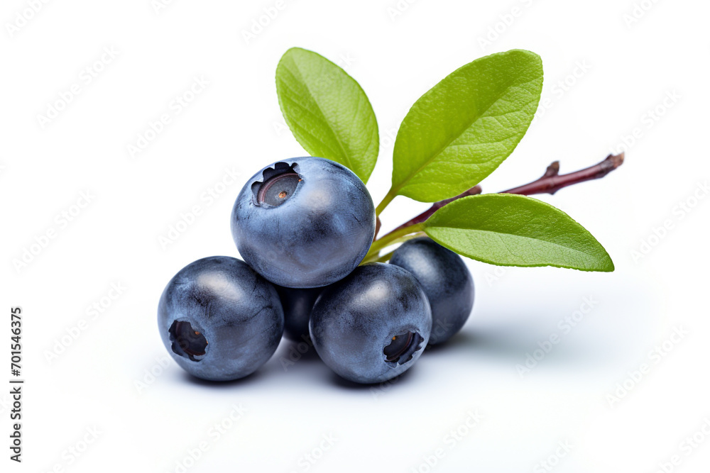 Blueberry on white background Blueberry on white background