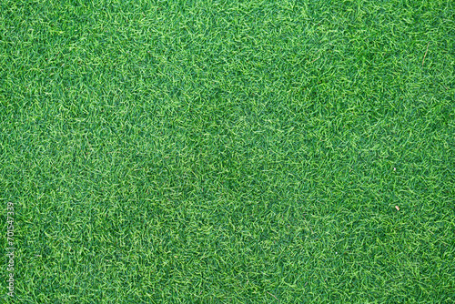Papier peint Artificial grass. Green grass texture can be use as background