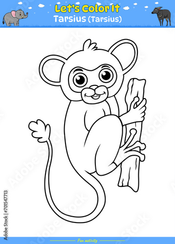 Lets color it Tarsius