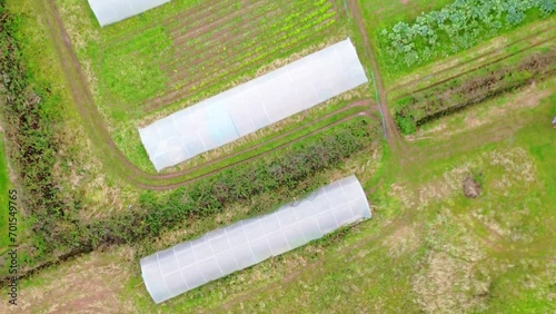 Birds eye view of allotment and polytunnel in somerset photo