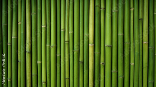 Green bamboo texture for interior or exterior design, bamboo fence texture background.