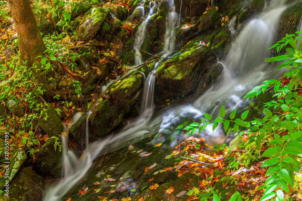 Autumn Waterfall, Tremont, Great Smoky Mountains National Park