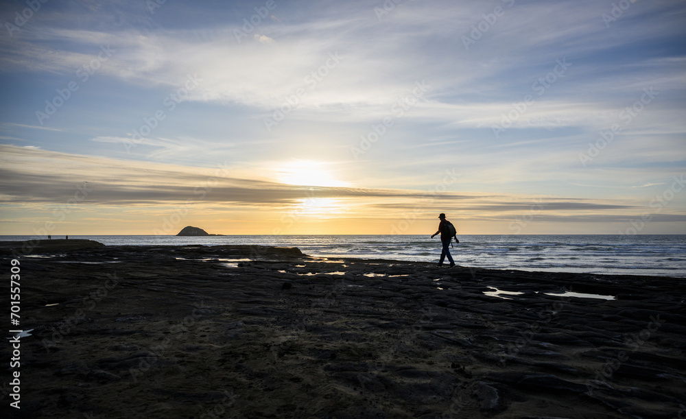 Man walking on the rocks at sunset at Muriwai beach. Oaia Island in the distance. Auckland.
