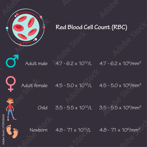 Red Blood Cell RBC blood test medical vector illustration infographic