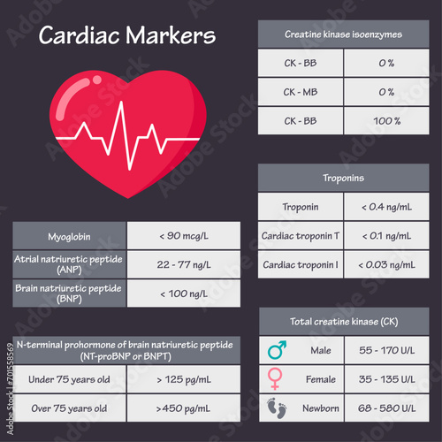 Cardiac marker blood test results medical infographic vector illustration