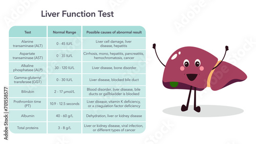 Liver function liver enzymes blood test medical vector illustration graphic photo