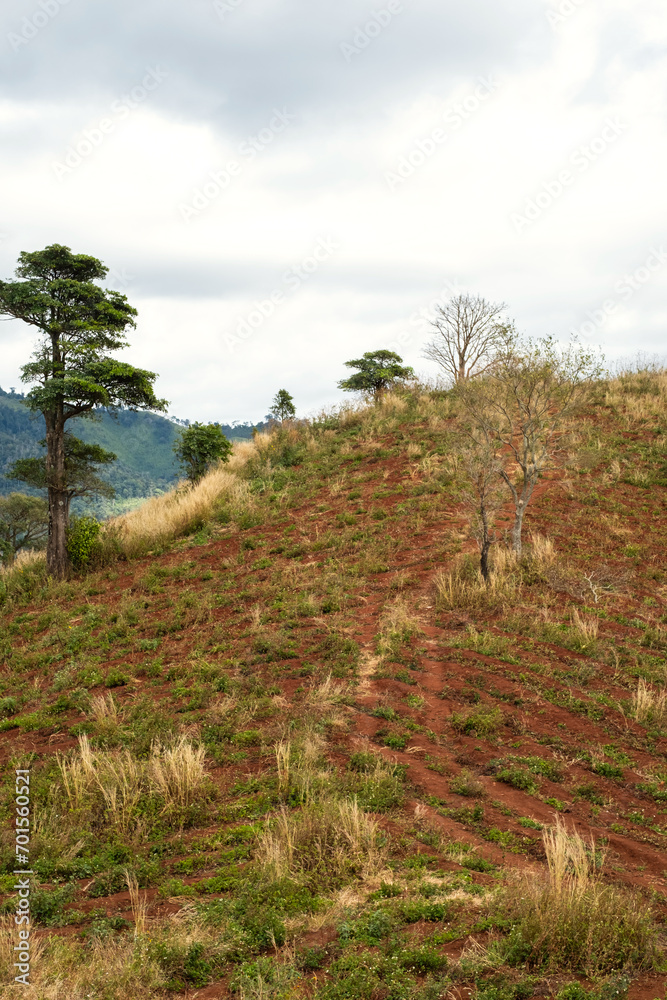 Path to the volcano peak. Mountain trail. Path to the volcano peak. Mountain trail.
