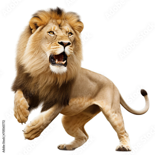 Transparent PNG - King of the Beasts © Eugenia