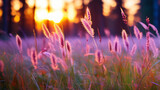 flowers in a field with epic light