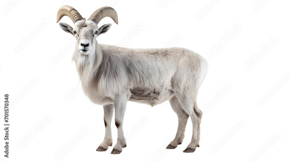A majestic white goat with powerful horns stands tall among the rugged terrain, embodying the wild spirit of a goatantelope and the grace of a livestock animal A majestic white goat with powerful horns stands tall among the rugged terrain, embodying the wild spirit of a goatantelope and the grace of a livestock animal