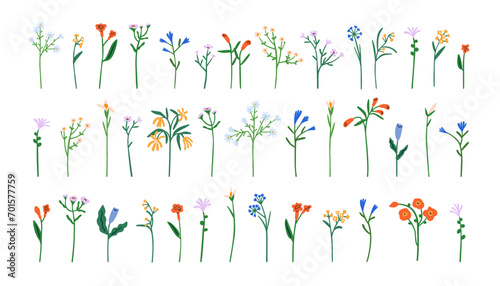Fragile flowers set. Floral stem, spring and summer plants. Abstract field an...