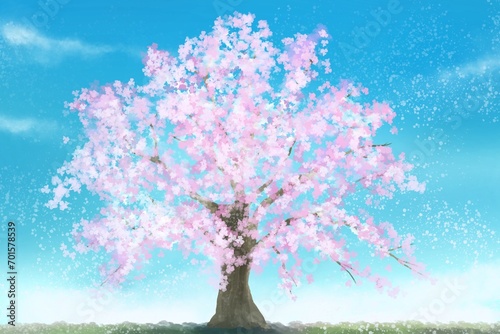 青空に映える満開の桜　背景素材 © 戸塚 詩織