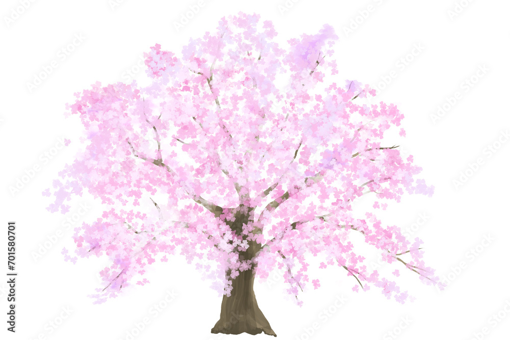 Fototapeta premium 満開の桜の木 背景素材