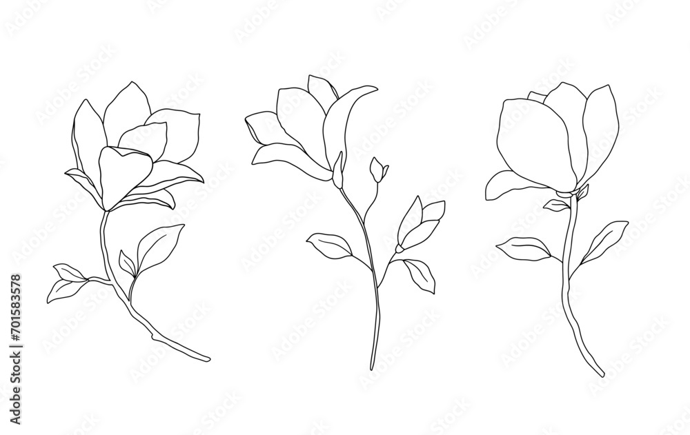 Magnolia line art vector illustration. Hand drawn black ink sketch isolated on white. Outline floral doodles set