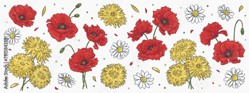Set with hand drawn chamomile, dandelion and red poppy isolated on background. Floral design template. Sketch flowers collection. Vector illustration