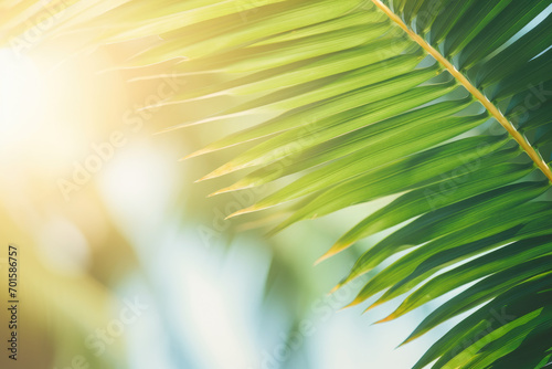 Blur beautiful nature green palm leaf on tropical beach with bokeh sun light wave abstract background. Copy space of summer vacation and business travel concept. Vintage tone filter effect color style