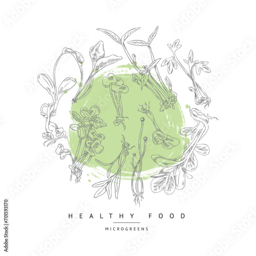 Hand drawn different micro-green sprouts in round composition sketch style