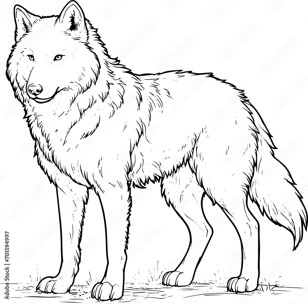 Fototapeta premium Coloring page Animals Cartoon clipart for kids illustration book 