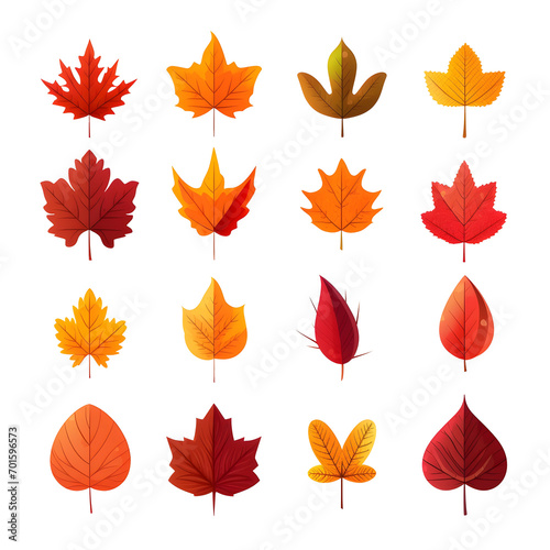 Set of autum watercolor leaves illustration isolated 