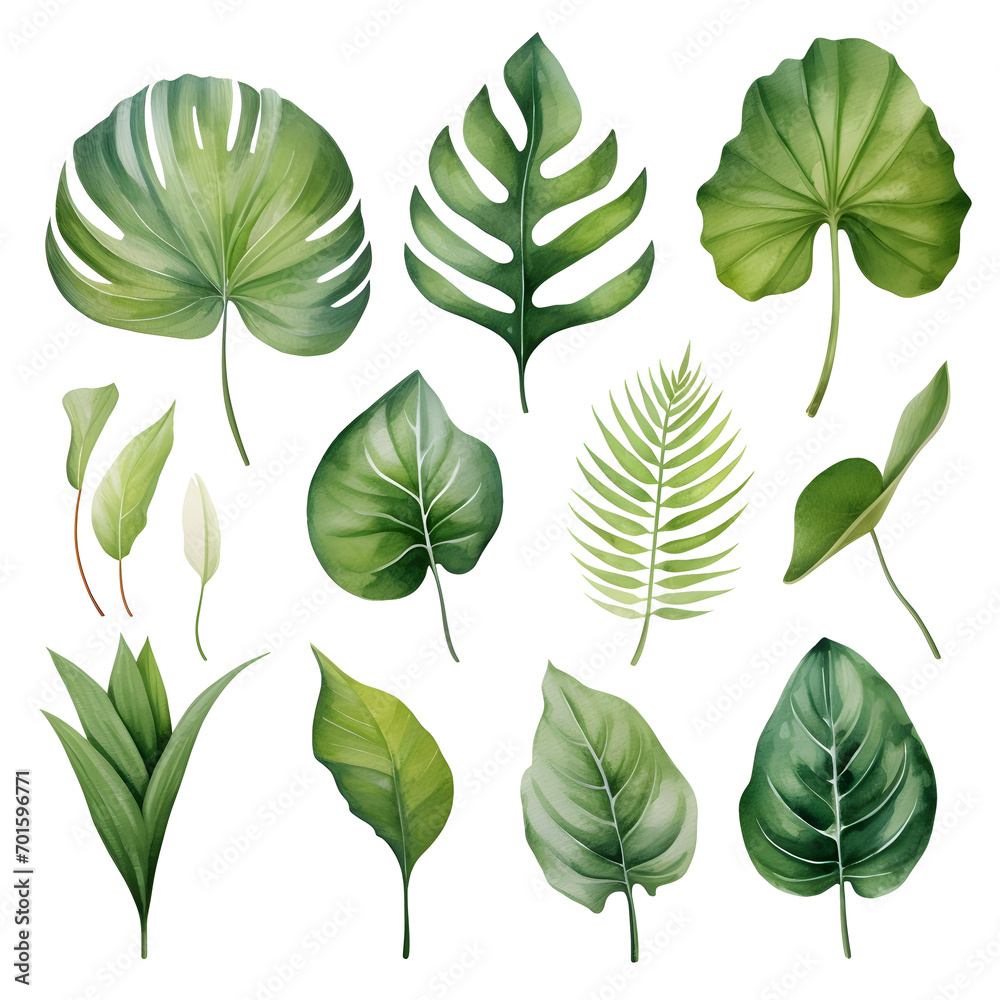 Set of watercolor tropical leaves isolated 