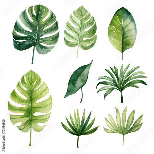 Set of watercolor tropical leaves isolated 