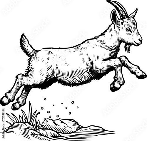 Coloring page Animals Cartoon clipart for kids illustration book	
