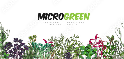 Microgreens, vector seamless border on white, hand drawn sketch style.