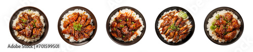 Collection plate of teriyaki chicken with rice isolated on a transparent background, top view