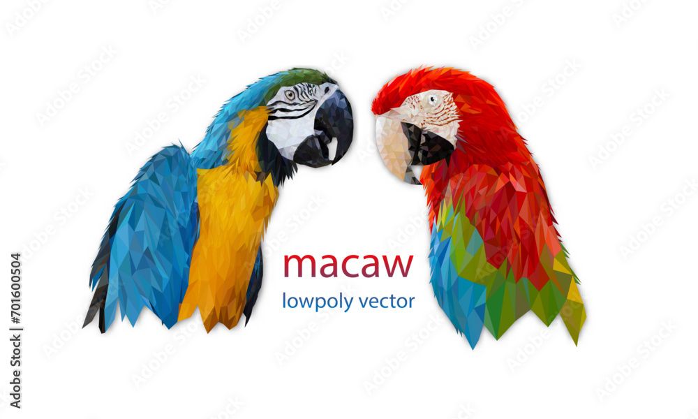 Polygon Graphics two bird macaw parrot isolated on a white background vector illustration