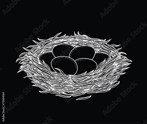 Vector illustration of a nest with eggs