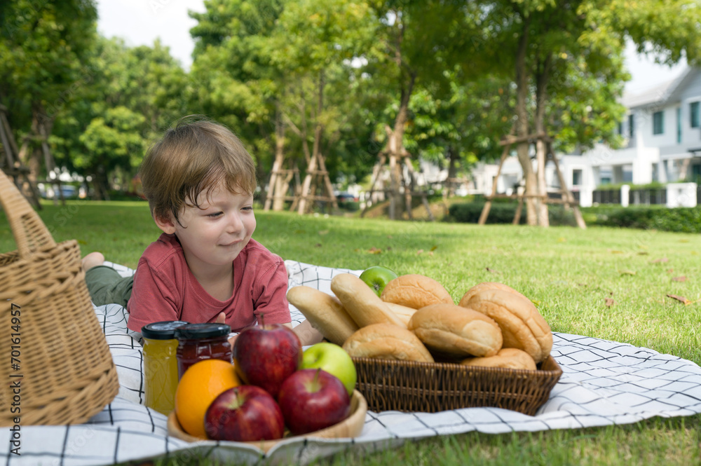 Fototapeta premium Young boy sit on a picnic blanket with a basket, colorful fruit and freshly-baked bread. Enjoying outdoor picnic in sunny park
