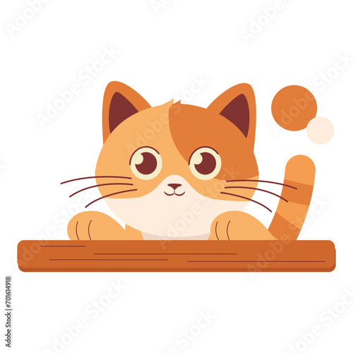 Cute Orange Cat Peeking 