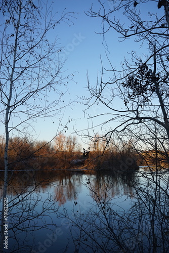 reflection of trees in water