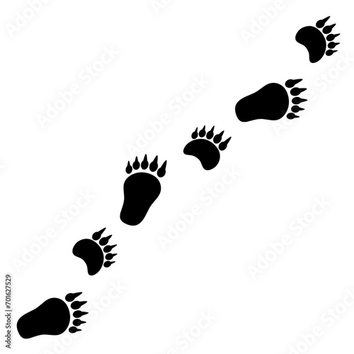 Vector silhouette of walking bear footprints. Front and hind legs of a bear on a white background. Carnivorous animal