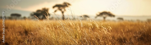 Safari landscape background. Banner