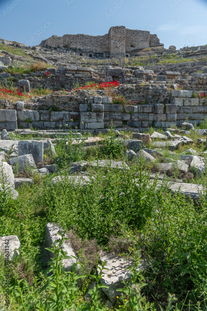 details of ancient settlement milet amphitheater flowers and green nature with blue sky