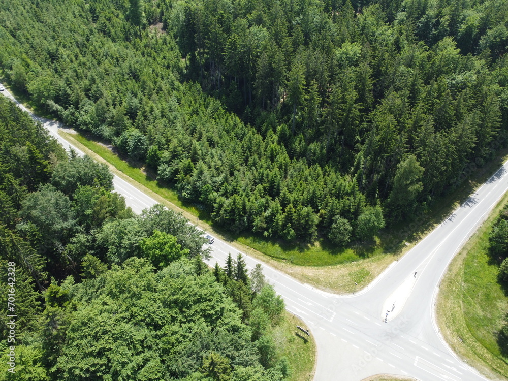Aerial view of the road in the forest