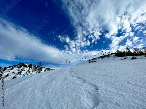 Skifahren - Schifahren 