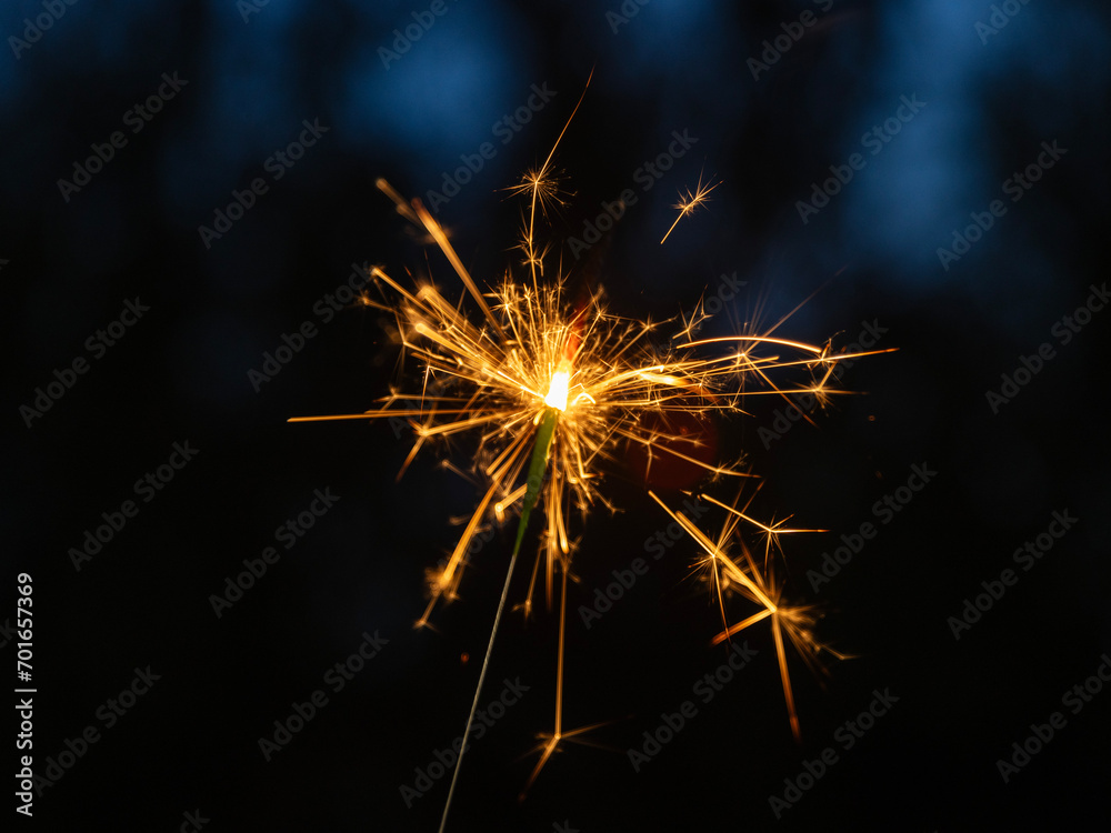 Sparklers light up the night with their magical dance. These luminous wands trace ephemeral arcs, leaving trails of golden stardust in their wake.