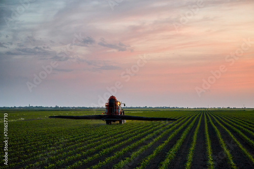 Tractor spraying insecticide on corn field at sunset photo