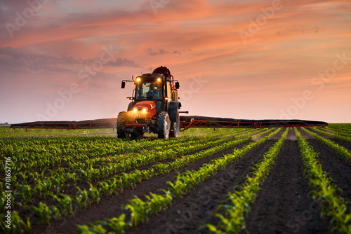 Farmer in tractor spraying fertilizer on corn field under sky at sunset photo