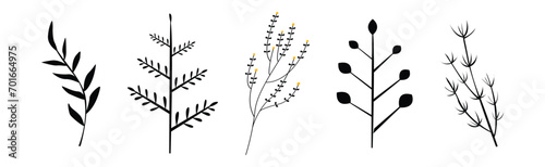 Black Herbs and Twig with Stem and Stalk Vector Set