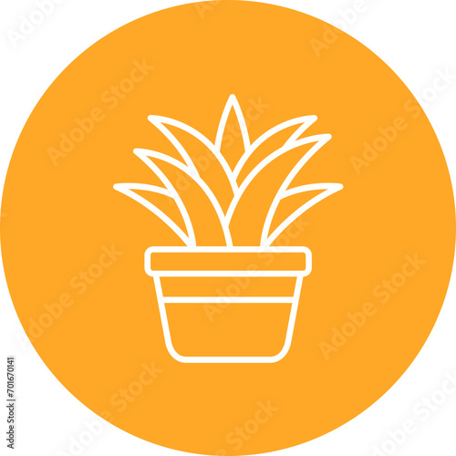 Spider Plant Line Icon
