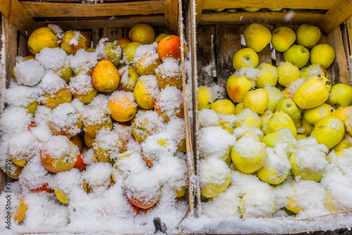 Marktstand mit schneebedeckten Äpfeln in Obstkisten	

 photo