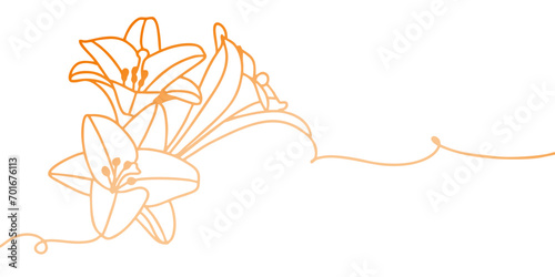 Line art of lily flower